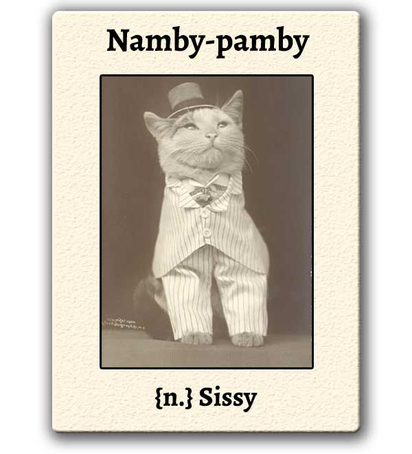 Word For The Weekend: NAMBY-PAMBY